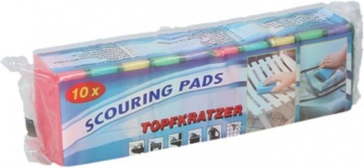 Lifetime Scouring pad (10 pcs.)
