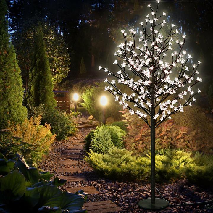 Image du produit Monzana Cerisier en fleurs