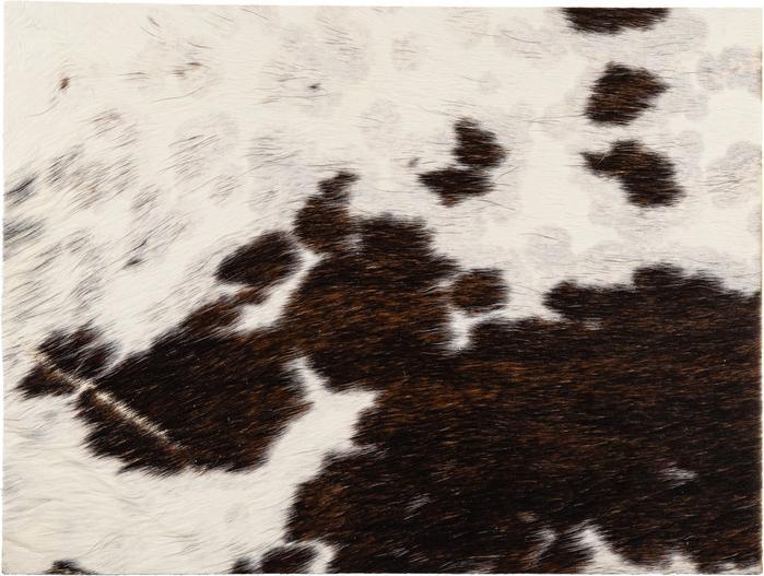 Image du produit Nouvel Vache (1 pcs, 40 x 30 cm)