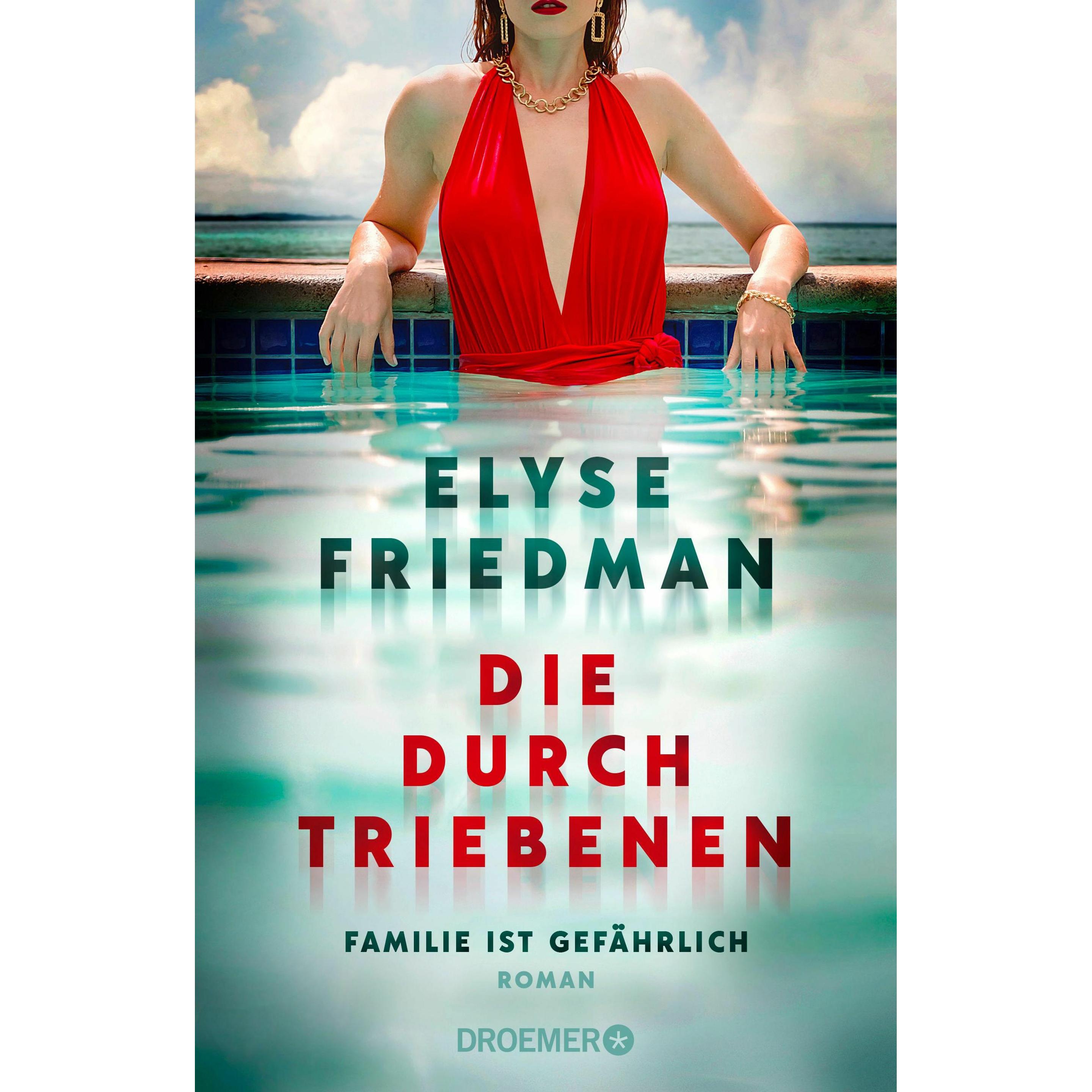 Die Durchtriebenen, Belletristik von Elyse Friedman