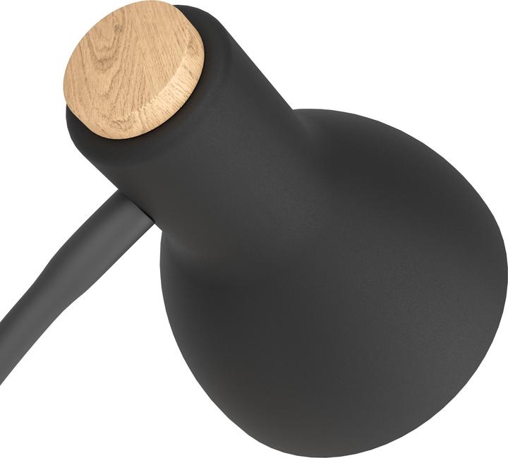 Actual product image EGLO 98831 (E27)