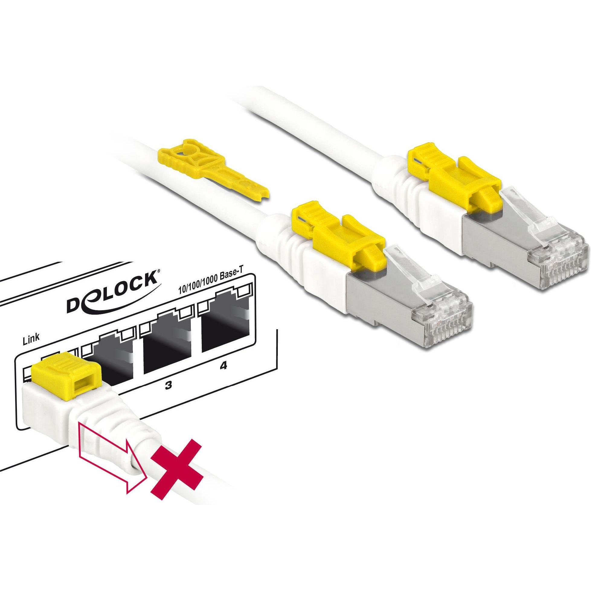 Delock Patchkabel: S/STP, 1m, weiss (S/FTP, CAT6a, 1 m), Netzwerkkabel