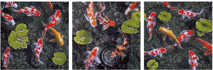 Actual product image Schipper Painting by Numbers Koi - Jewel in the Fish Pond