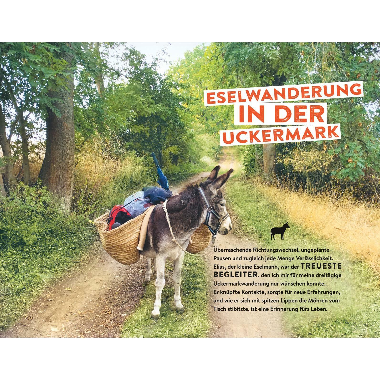 Thumbnail - Tausche Alltag gegen Alpaka, Ratgeber von Erik Kormann