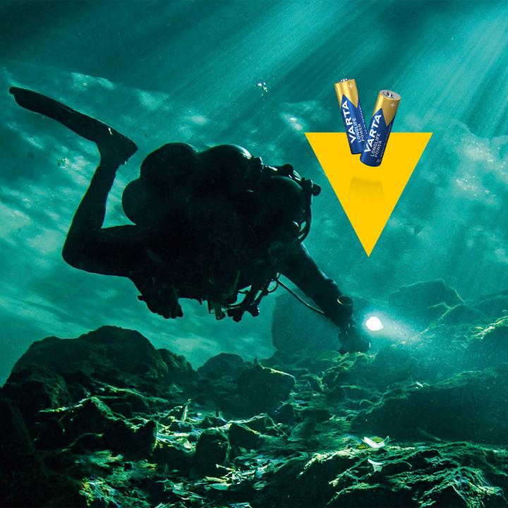 Productafbeelding Varta Langdurige Macht (24 Pcs., AAA / LR03 / Micro / R03 / AM4 / MN2400 / KR03, 1260 mAh)