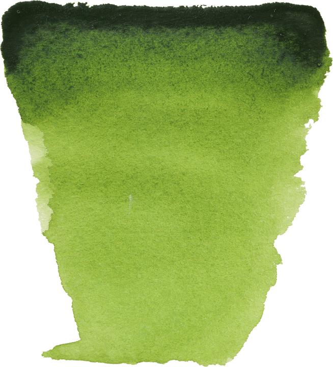 Image du produit Van Gogh Aquarelle 623 Vert jus, 1 pièce (Vert sève, 1000 ml)