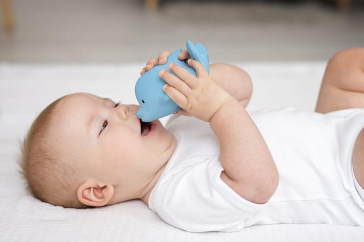 Actual product image Tikiri DAM : MIJN EERSTE OCEAANDIERTJE / DOLFIJN 6cm, in natuurlijk rubber, met belletje, met hangkaa