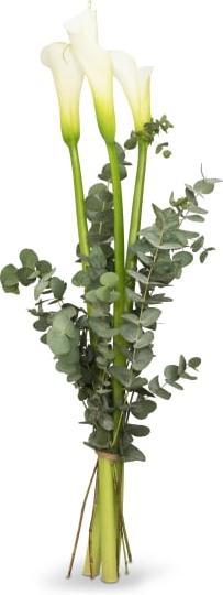 Produktbild Fleurop White Elegance (Schnittblumen)