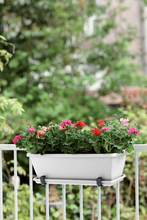 Actual product image Elho Barcelona (19 cm)