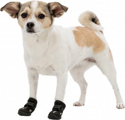 Immagine prodotto Trixie Deambulatore Paw Protector Active Gr.L (L, Scarpe per cani)