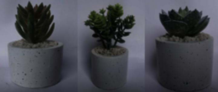 Immagine prodotto Arti Casa Artificial plant in pot 3as