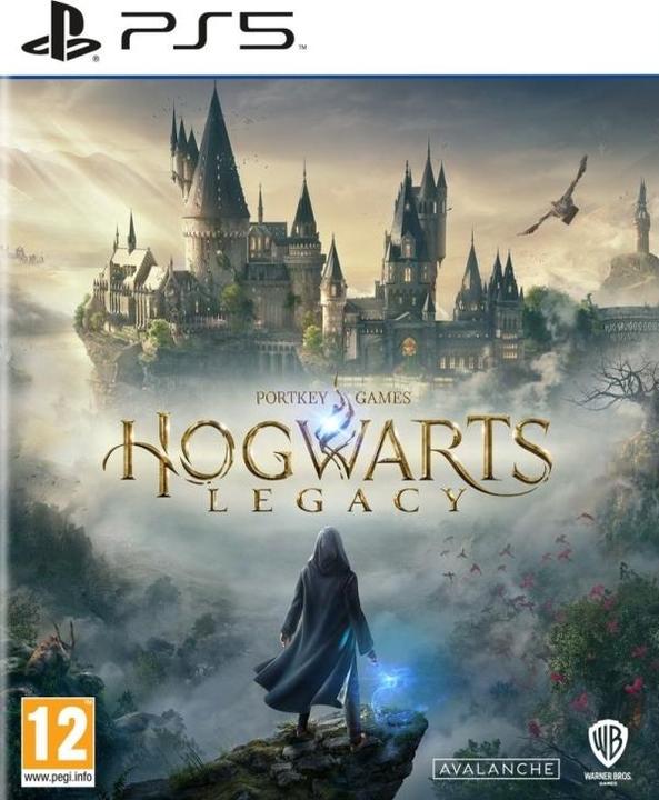 Actual product image WB Hogwarts Legacy (PS5, EN)