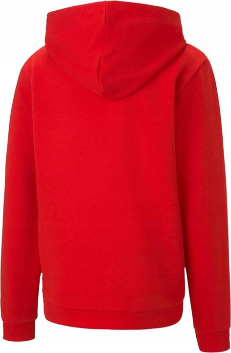 Produktbild Puma TeamGoal 23 Kapuzenpullover (116)