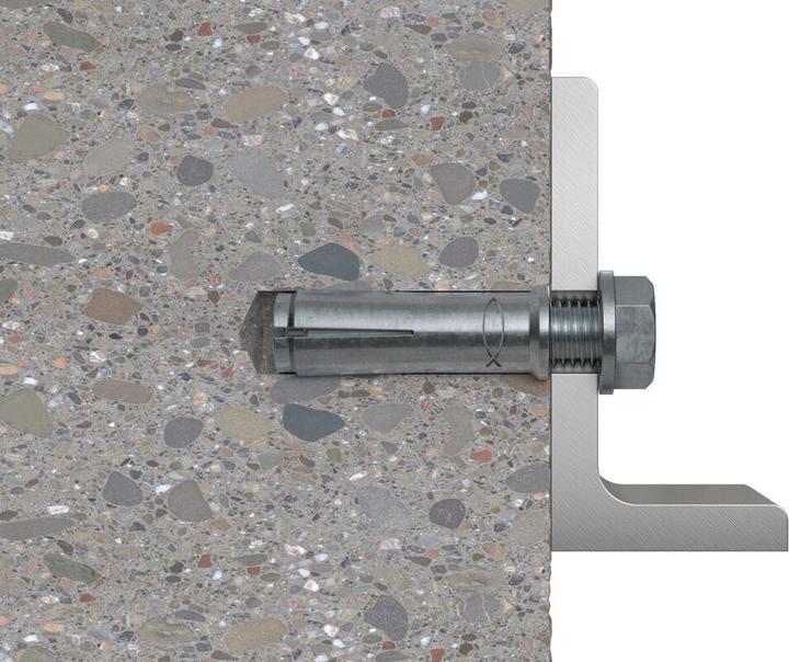 Productafbeelding Fischer Insteekanker roestvrij EA II M12x50 A4 (25 Pcs.)
