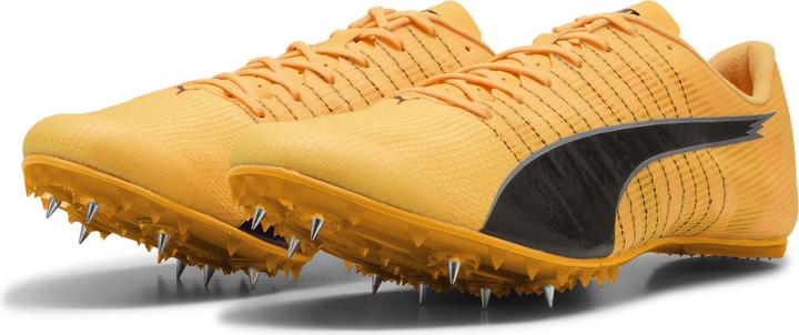 Puma evoSPEED FUTURE 6