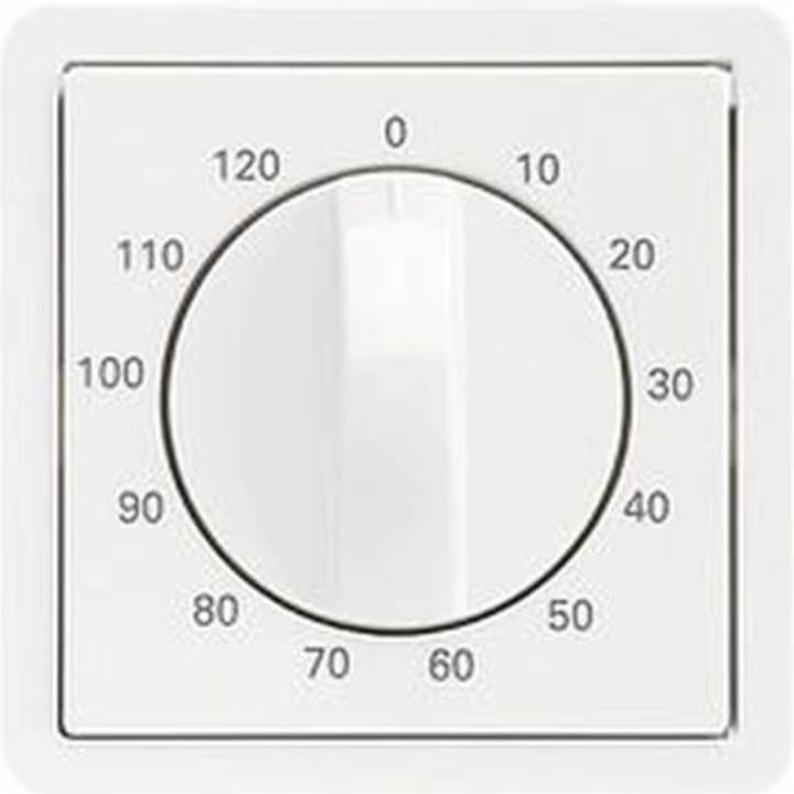 Actual product image Schneider Electric Central plate timer insert 223094