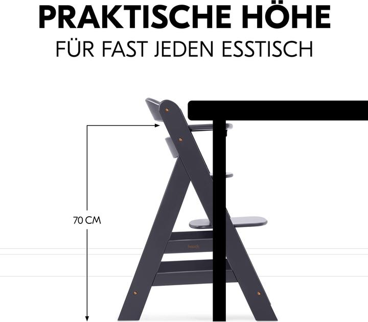 Productafbeelding Hauck Alpha Newborn Set Plus Donkergrijs (Kinderstoel)