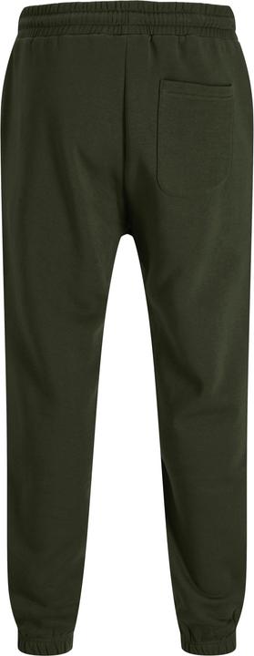 Actual product image Jack & Jones Regular Fit Relaxed Fit Hosen Relaxed Fit Hosen (XXL)