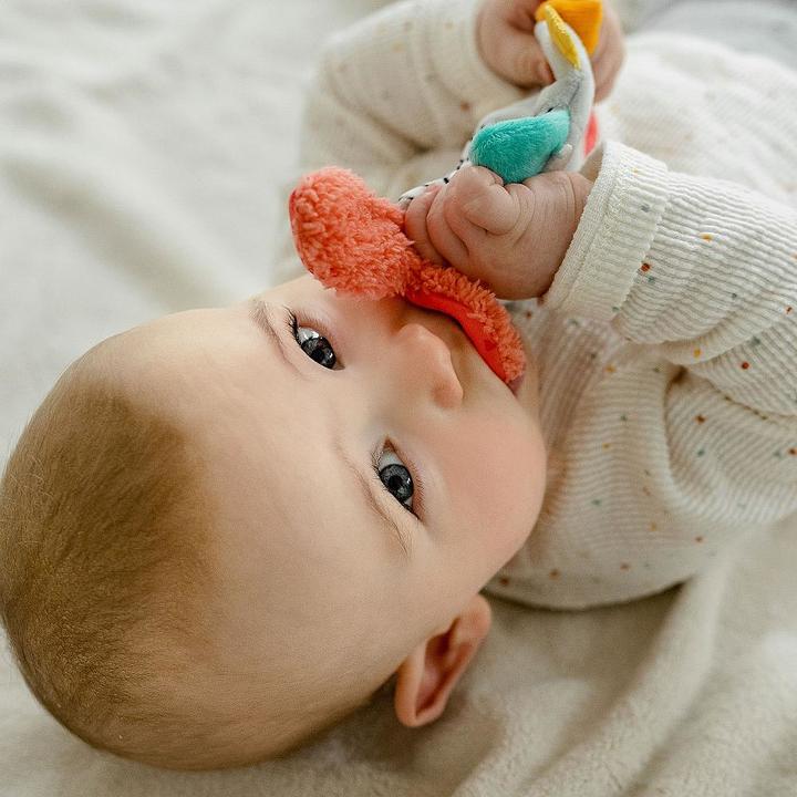 Productafbeelding Fehn DoBabyDoo knapperige vis
