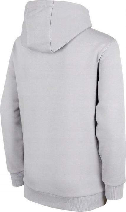 Produktbild 4F HJZ22 Kapuzenpullover (146)