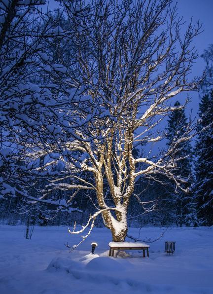 Actual product image Star Trading Spotlight (E27, 1300 lm, 1 x)