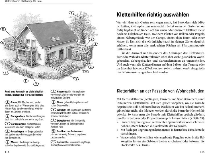 Produktbild Grüne Wände für Haus und Garten (Deutsch, Brigitte Kleinod, 2014)