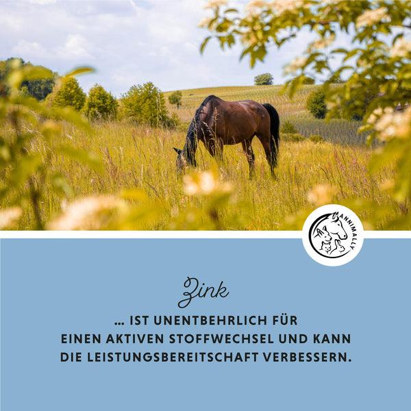 Produktbild Annimally Zink Pellets - Nachfüllpackung (2000 g)