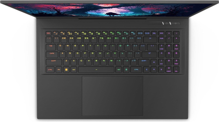 Produktbild Captiva Highend Gaming I81-497 Core i9 RTX 4070 (17.28", Intel Core i9-14900HX, 64 GB, 4000 GB, DE)