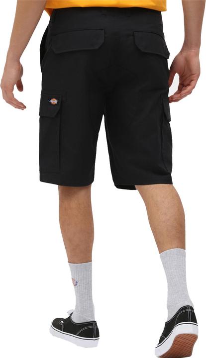 Actual product image Dickies Millerville Shorts (M)