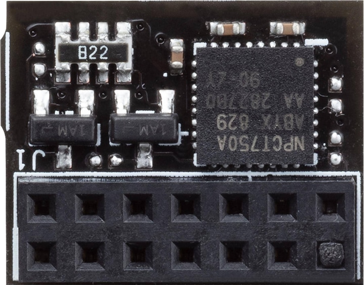 ASUS Tpm-Spi