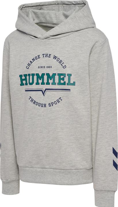 Produktbild hummel Hmlasher Hoodie (110)
