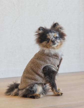 Image du produit Designed by Lotte Pull pour chien Madeleine (S, Pull-over pour chien)