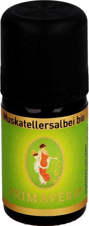 Primavera Salvia sclare* biologica