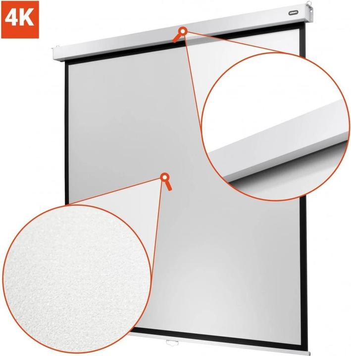 Actual product image Celexon Professional Plus (108", 4:3)