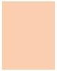 Actual product image Sisley Stylo Correct No 1 (1 Light)