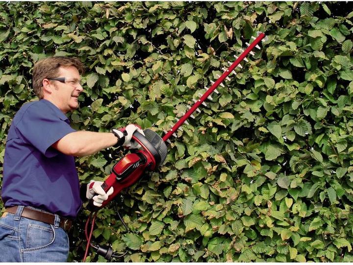 Actual product image Einhell Gc-Eh 6055/1 (Electrical connection)