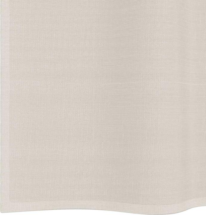 Produktbild VidaXL Voile Vorhänge mit Stangentaschen 2 Stk. Creme (140 x 140 cm)