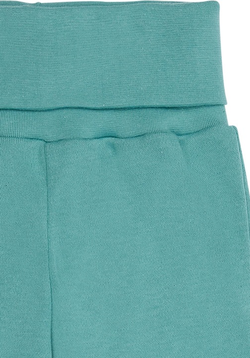 Actual product image loud + proud Trousers (104)