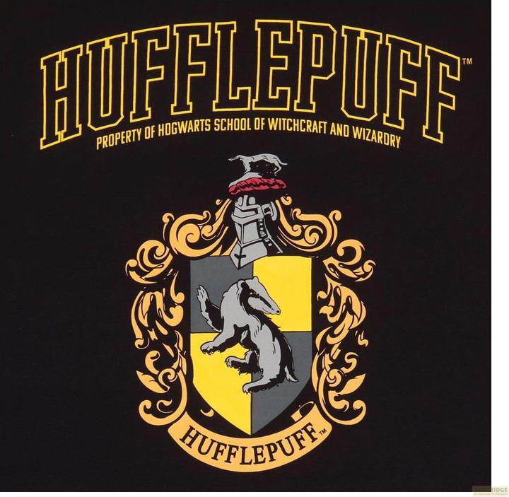 Produktbild Heroes Inc Harry Potter T-Shirt Hufflepuff Grösse S (S)