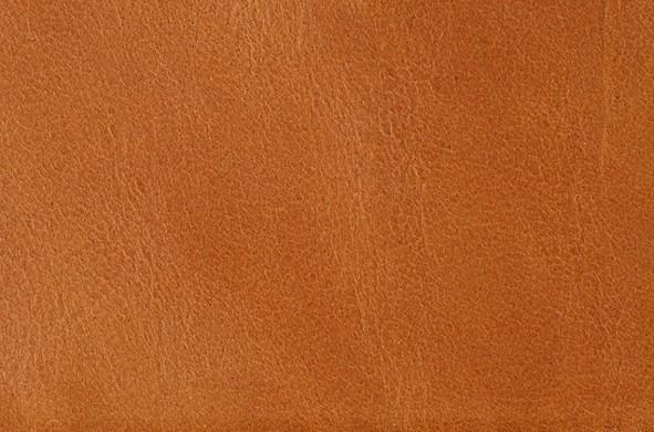 Actual product image Exentri Wallet