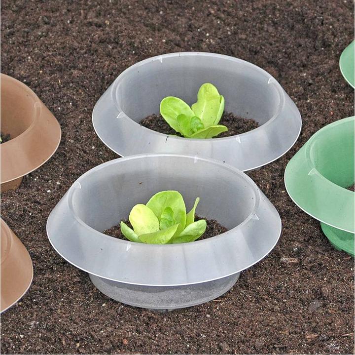Actual product image Andermatt SnailStop PP, pack of 12 pieces, transparent