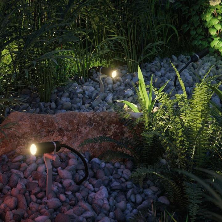 Immagine prodotto Paulmann Outdoor Plug & Shine Plantini set supplementare (200 lm, IP65)
