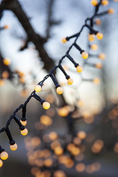 Actual product image Star Trading Berry Mini (19 m)