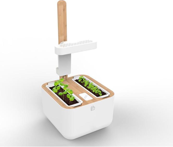 Immagine prodotto Véritable Botaneo Eylo (18.40 cm)