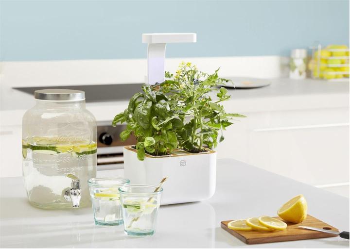 Immagine prodotto Véritable Botaneo Eylo (18.40 cm)