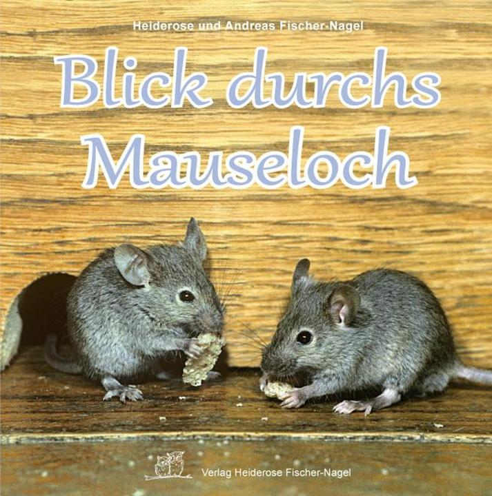 Produktbild Blick durchs Mauseloch (10 mm)