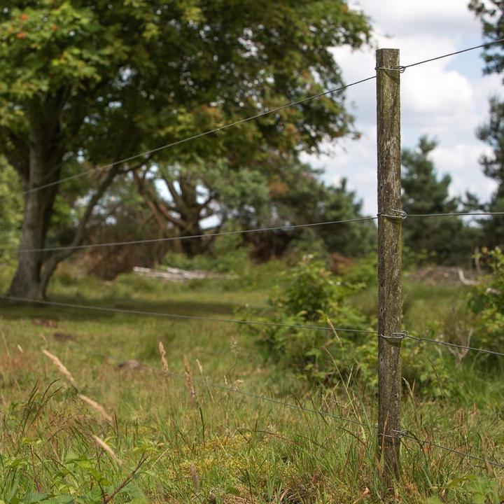 Immagine prodotto Gallagher Insultimber/Eco (x50)