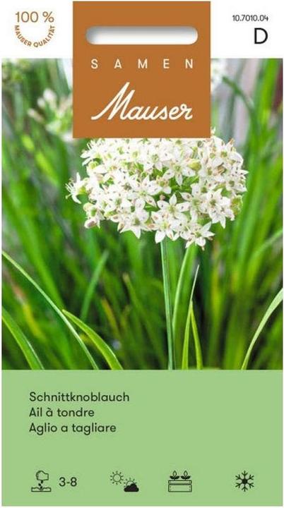 Actual product image Samen Mauser Chive garlic (Herb seeds)