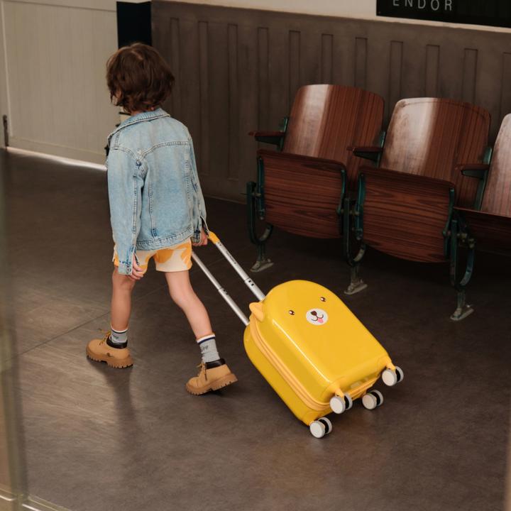 Actual product image Travel Buddies Dog