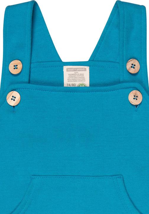 Actual product image loud + proud dungarees (104)